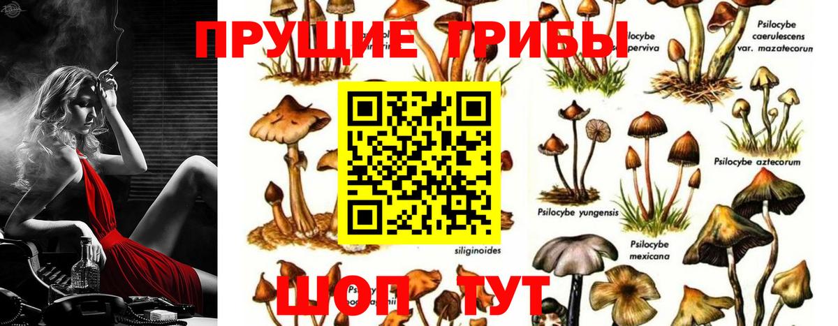 Псилоцибиновые грибы мухоморы Жуковский