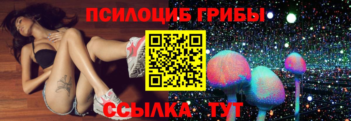 Галлюциногенные грибы MAGIC MUSHROOMS  Галлюциногенные грибы Psilocybe  Вход с VPN  Жуковский 